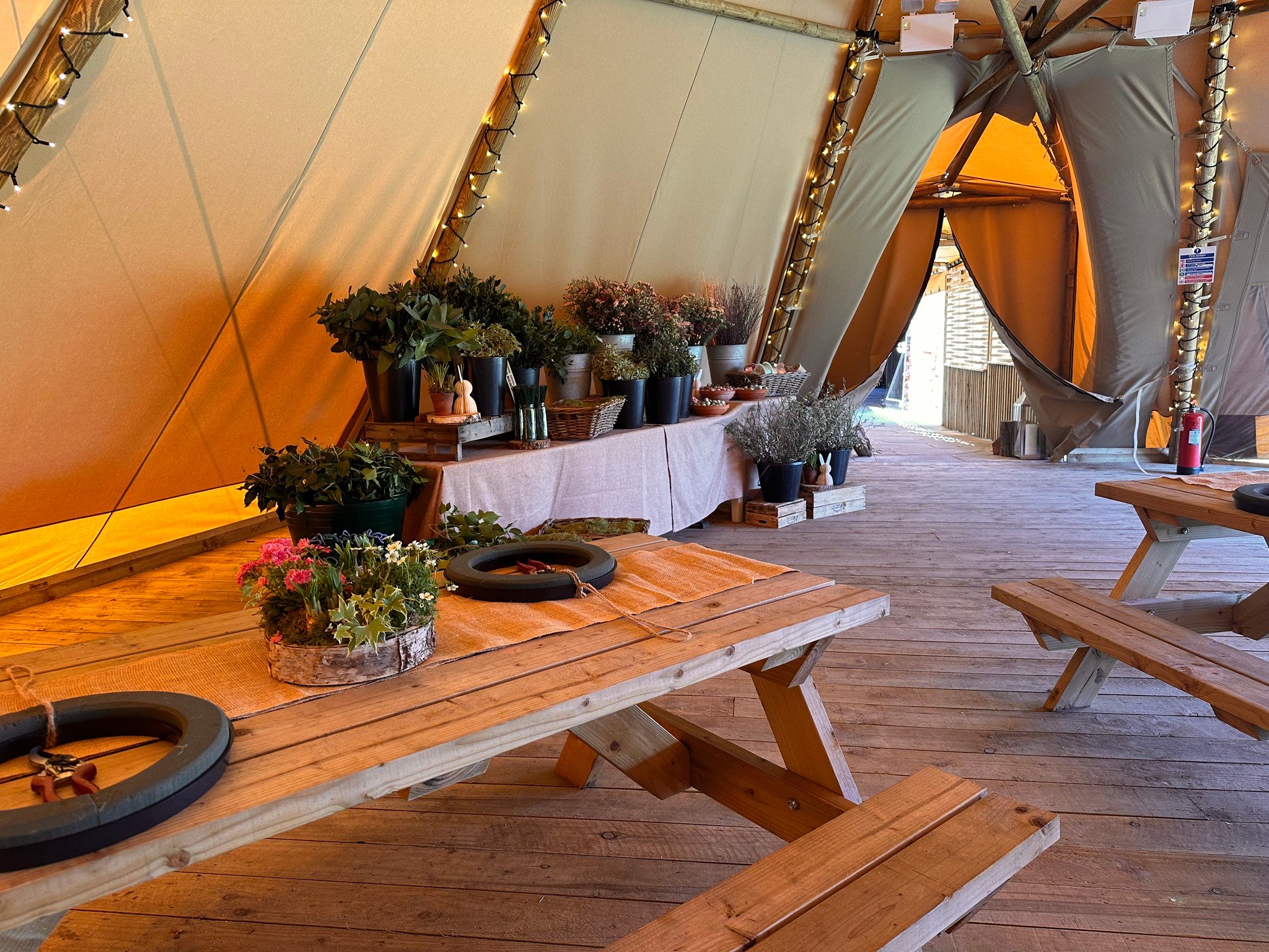 red lion moore tipis