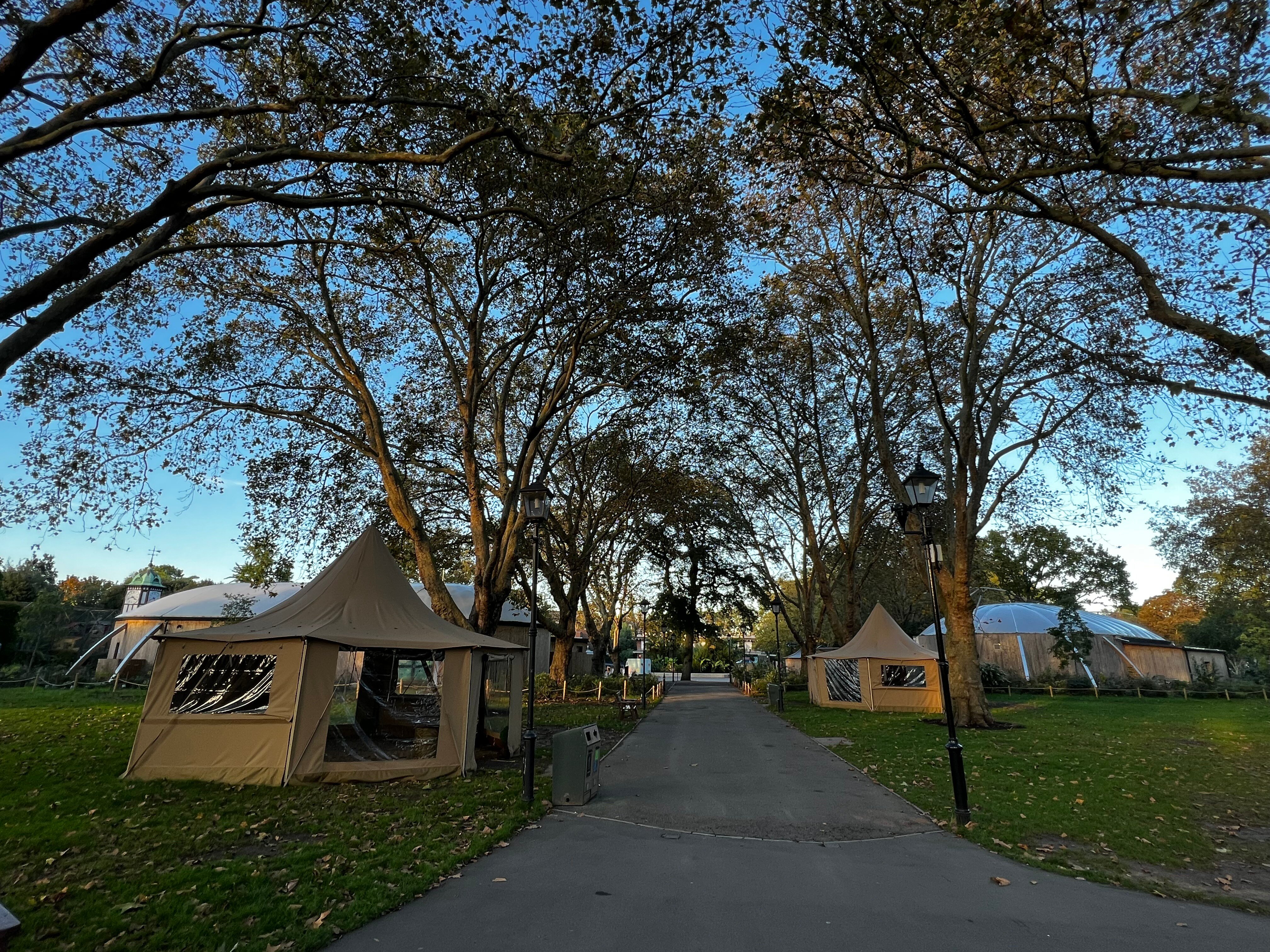 How Zoos and Animal Parks Enhance Visitor Experiences with Tipis