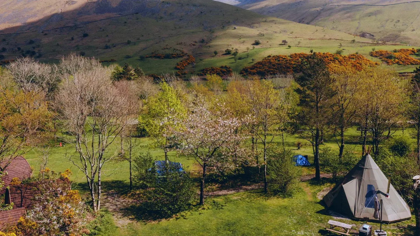 Offering Luxury in Nature: Elevate Your Glamping Site with Tipis